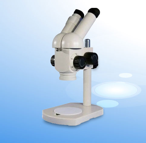 �pĿ�wҕ�@΢�R XTT�r��