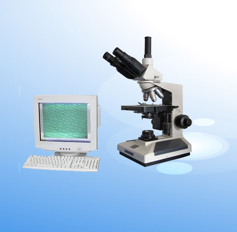 �D�������@΢�R XSP-8CV�r��